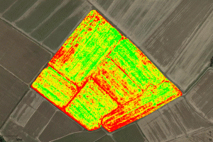 Volo di analisi pre concimazione