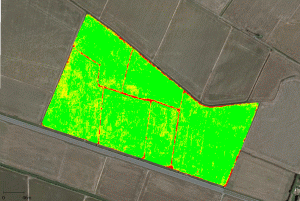 Volo di controllo post concimazione