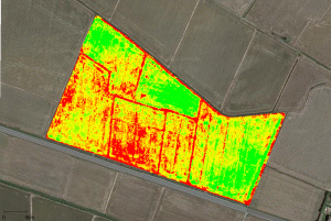 Volo di analisi pre concimazione